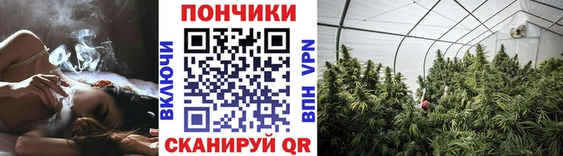 Бошки Шишки VHQ  Купить закладки  Сорск 